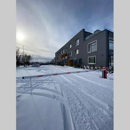 Overnight Tallinn Apartman Peetri